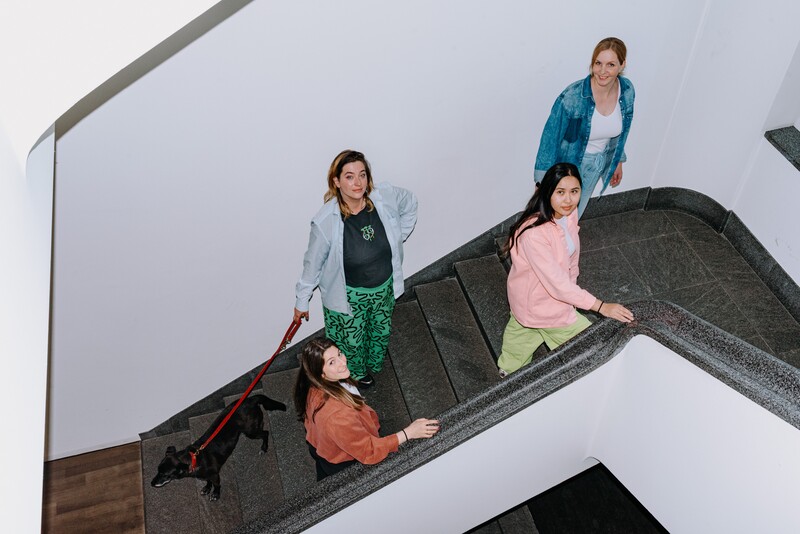 Four colleagues and a dog stand on a staircase and look upwards.