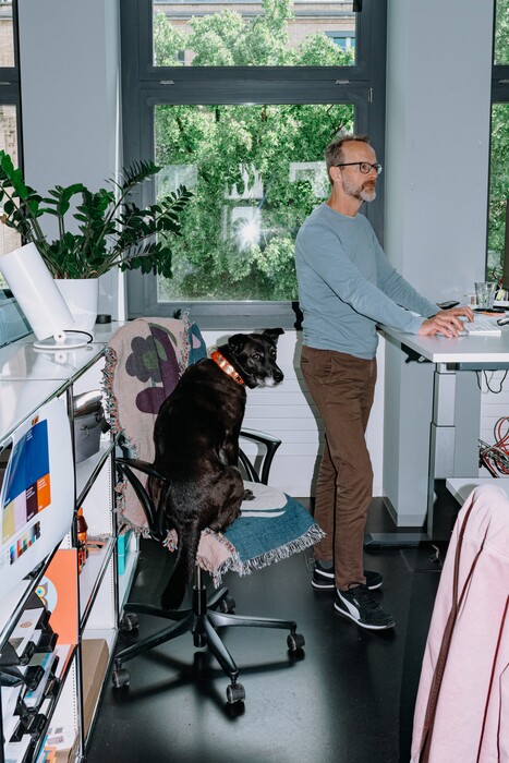 A colleague works at a standing desk while a dog sits on the office chair.